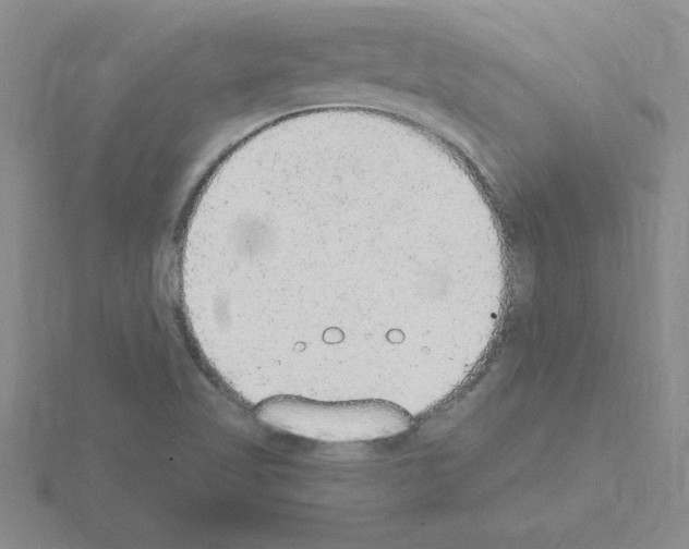 X0000115421509200912151552