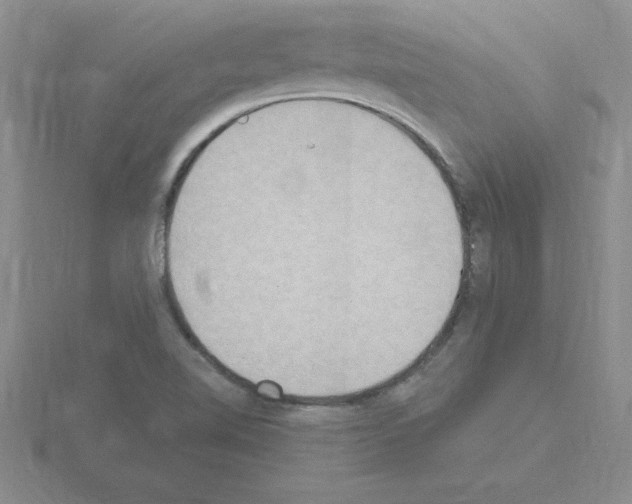 X0000115421510200912151552