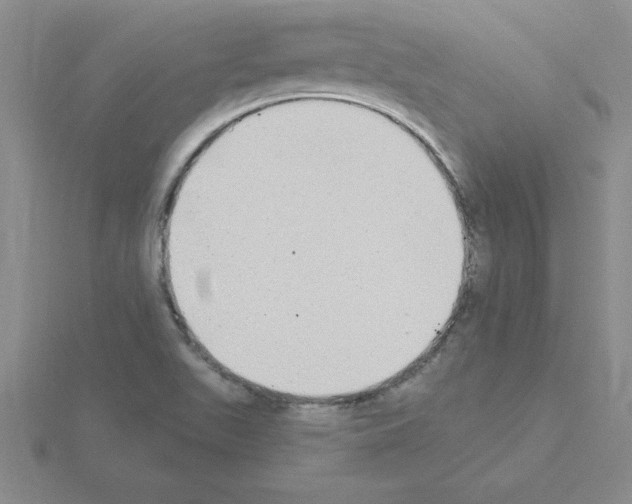 X0000115421511200912151552