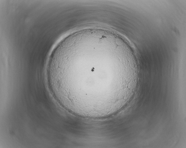 X0000115421514200912151552