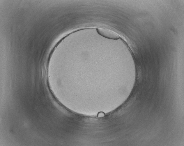 X0000115421515200912151552