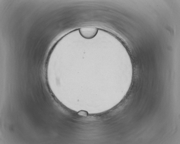 X0000115421517200912151552