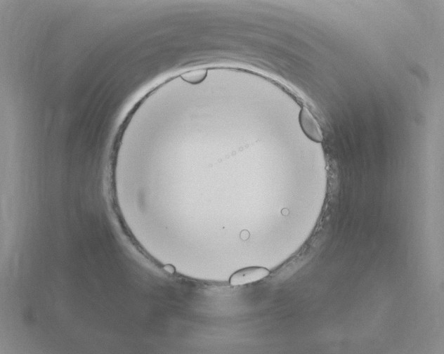 X0000115421518200912151552