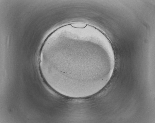 X0000115421519200912151552