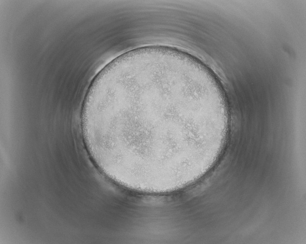 X0000115421521200912151552