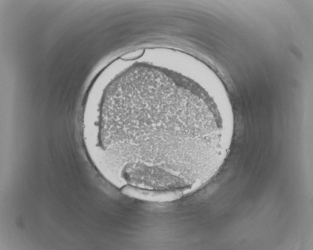 X0000115421522200912151552