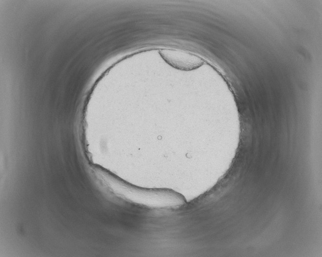 X0000115421523200912151552