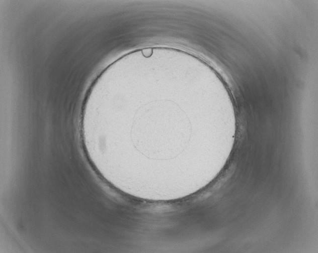 X0000115421525200912151552