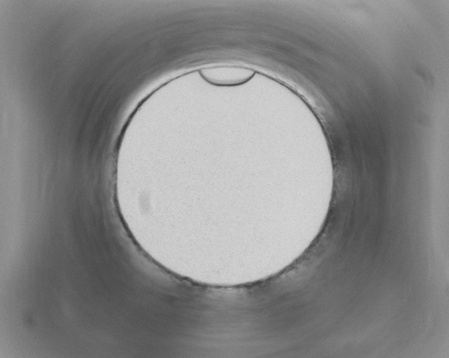 X0000115421526200912151552