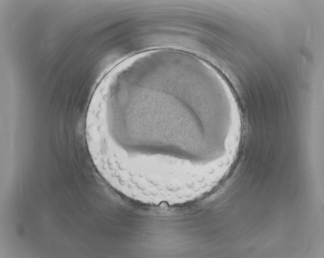 X0000115421529200912151552