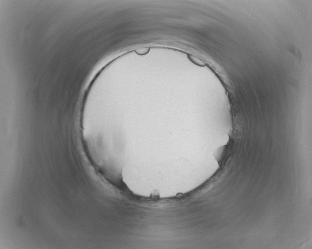 X0000115421530200912151552