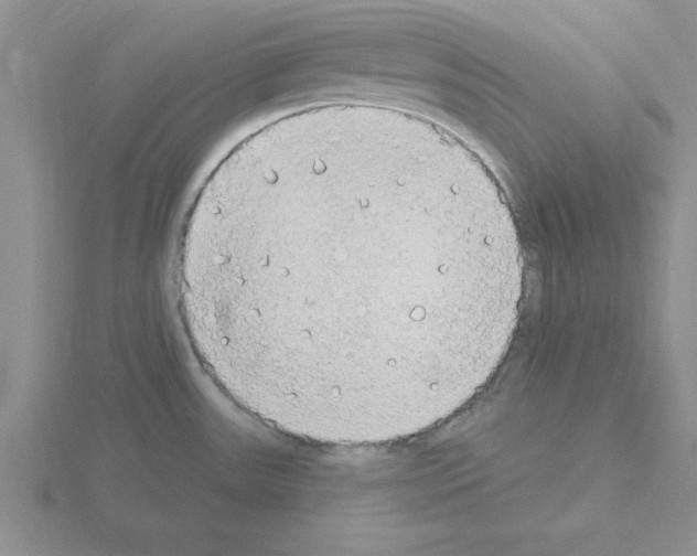 X0000115421531200912151552