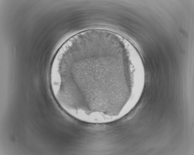 X0000115421533200912151552