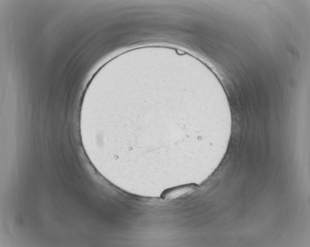 X0000115421534200912151552