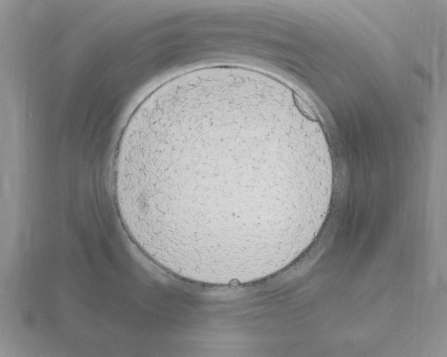 X0000115421535200912151552