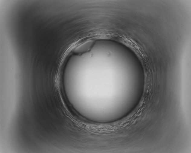 X0000115430003200911121112