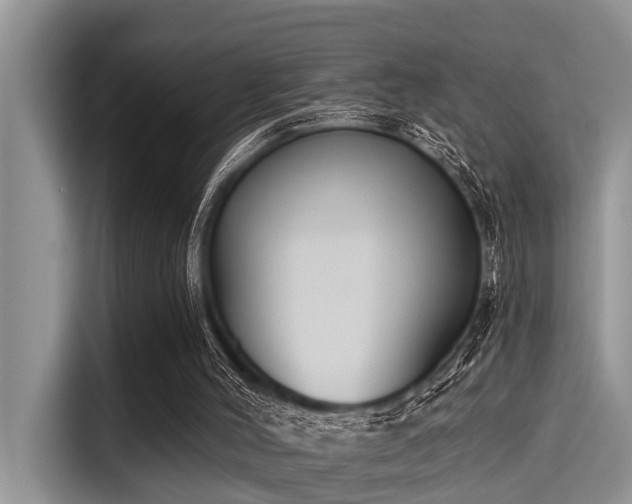 X0000115430004200911121112