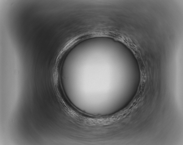 X0000115430005200911121112