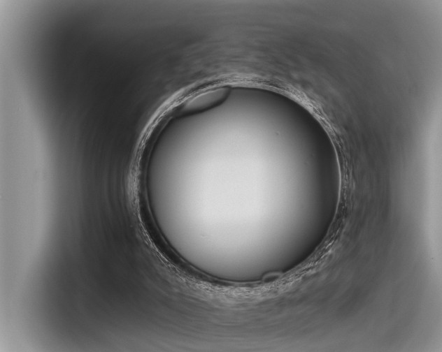 X0000115430007200911121112