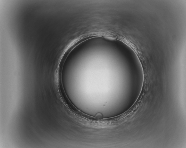 X0000115430008200911121112