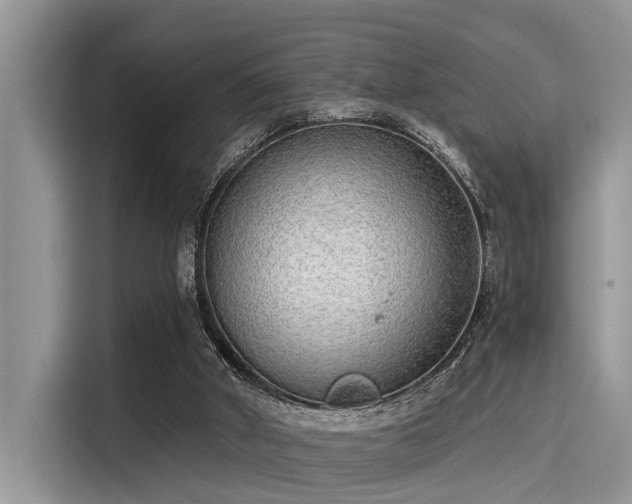 X0000115430010200911121112