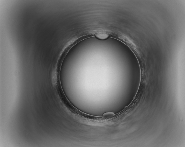 X0000115430012200911121112