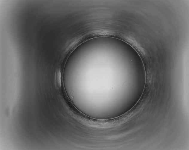 X0000115430014200911121112