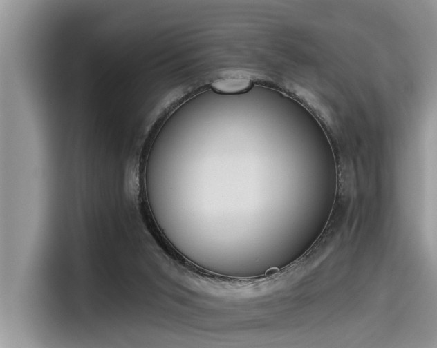 X0000115430015200911121112