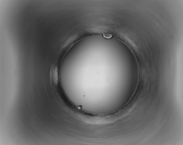 X0000115430020200911121112