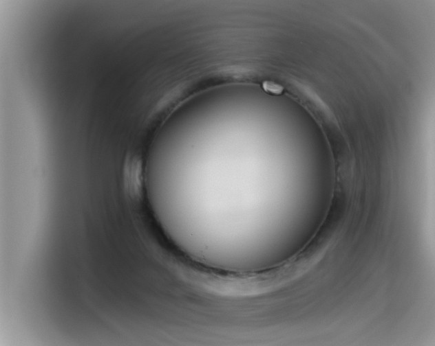 X0000115430024200911121112