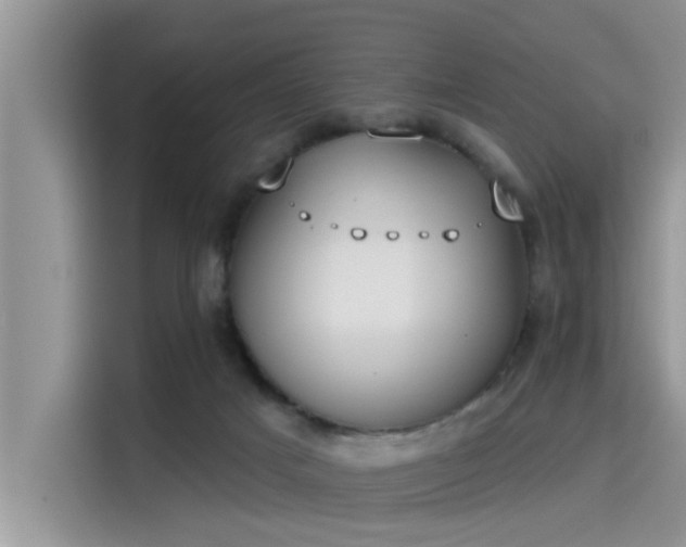 X0000115430025200911121112