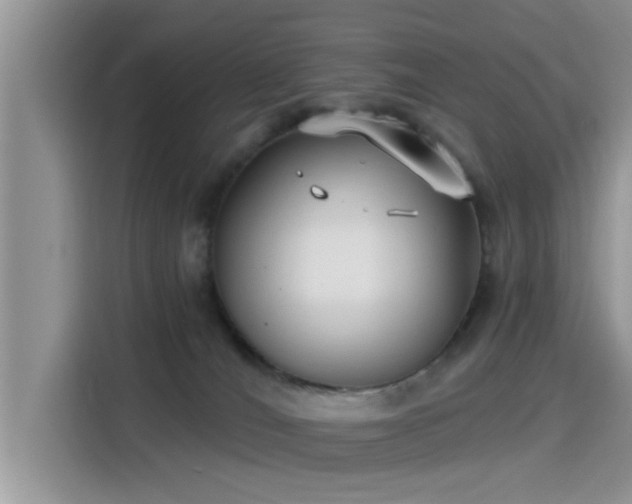 X0000115430036200911121112