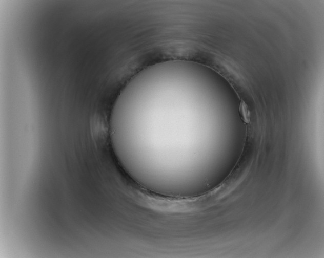 X0000115430040200911121112