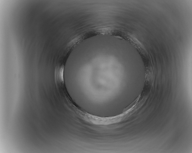 X0000115430047200911121112