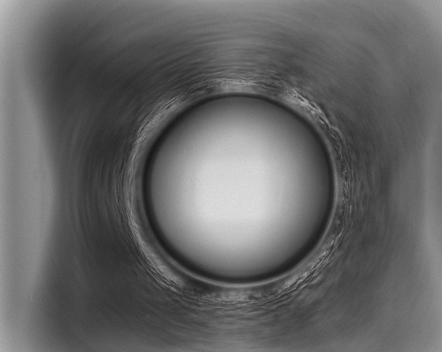 X0000115430049200911121111