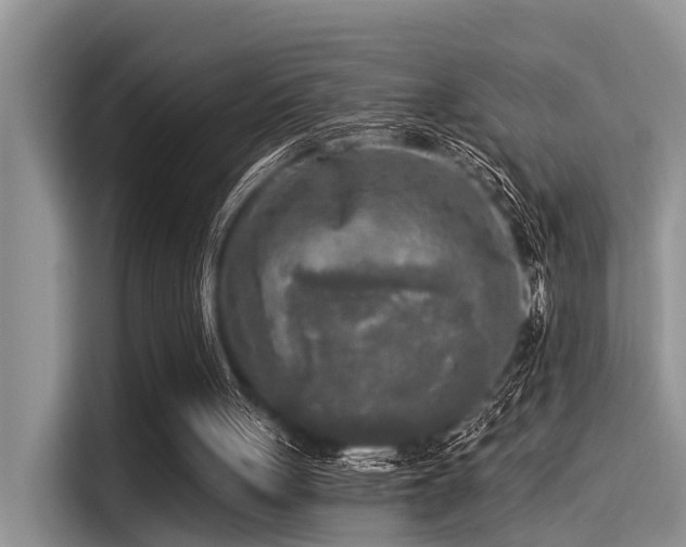 X0000115430051200911121111