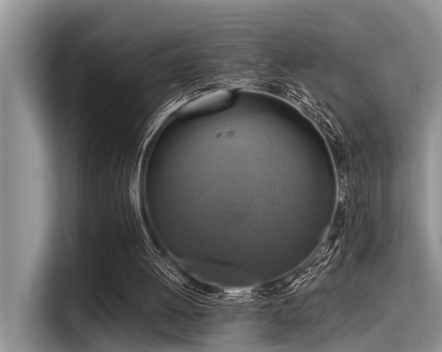 X0000115430052200911121111