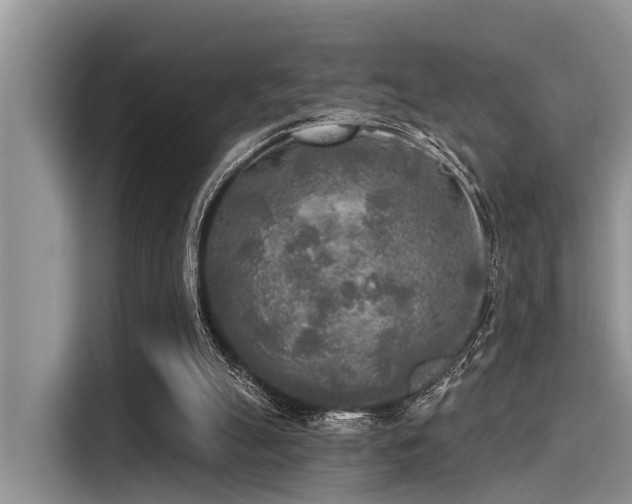 X0000115430055200911121111