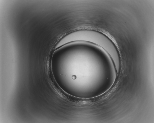 X0000115430057200911121111