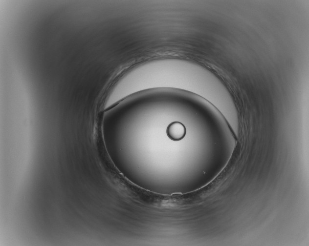 X0000115430064200911121111