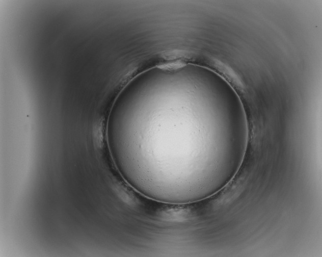 X0000115430065200911121111