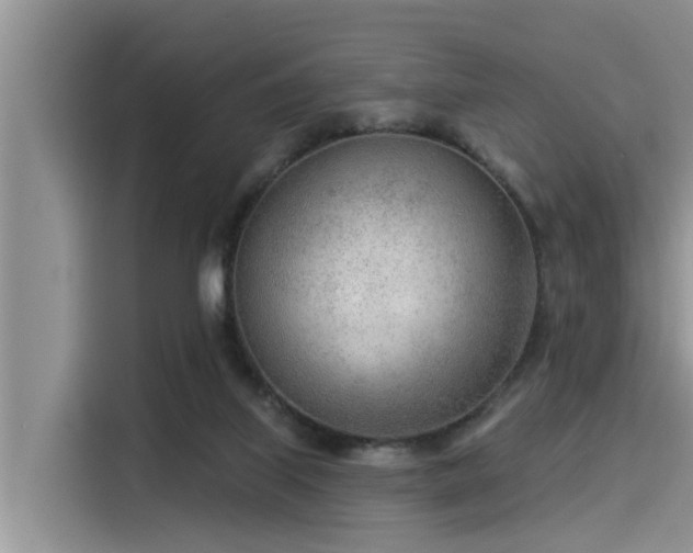 X0000115430067200911121111