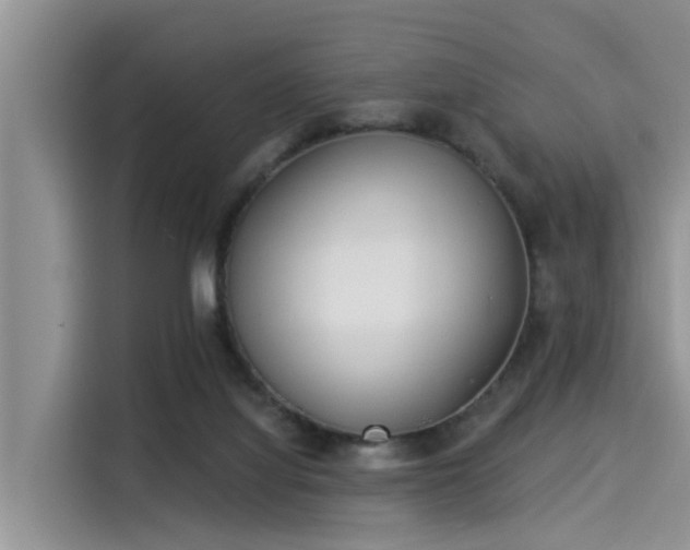 X0000115430068200911121111