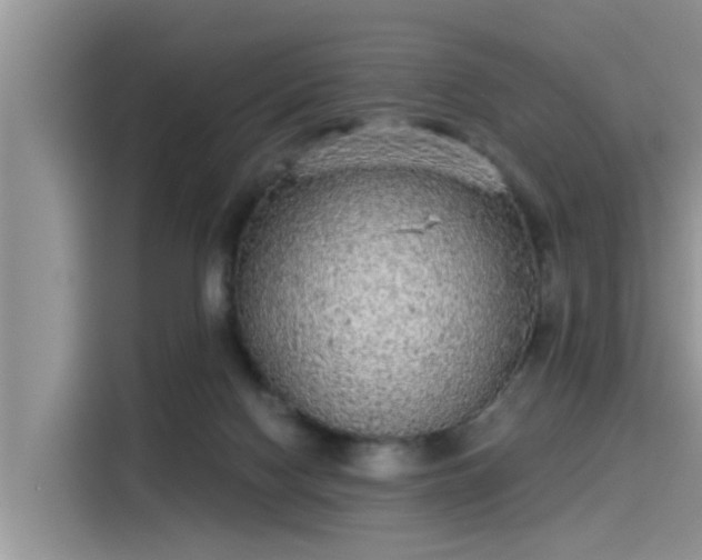 X0000115430074200911121111