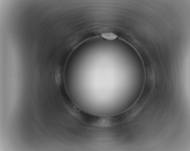 X0000115430080200911121112