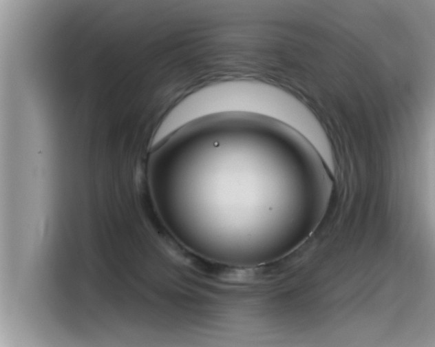 X0000115430084200911121112