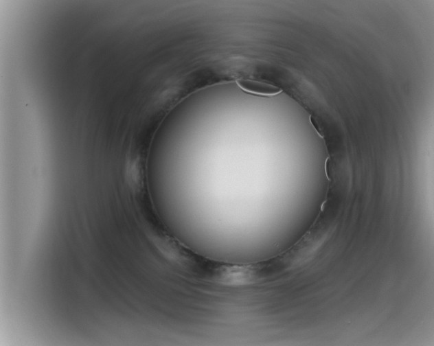 X0000115430088200911121112