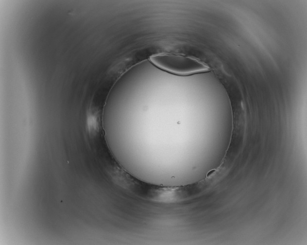 X0000115430090200911121112