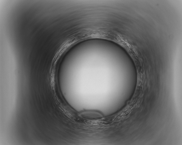 X0000115430098200911121111