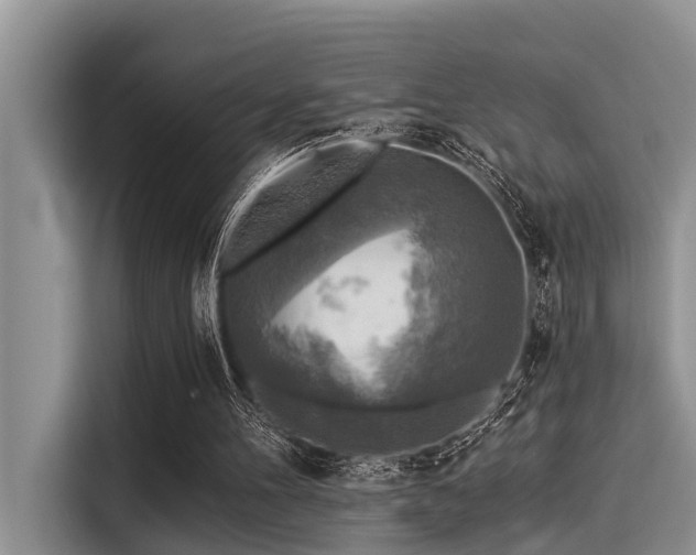 X0000115430100200911121111